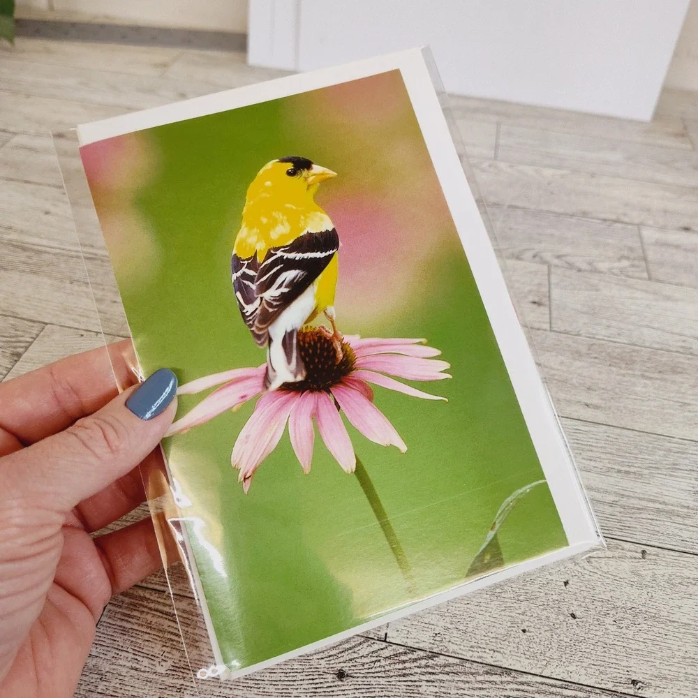 Set of two blank‎ Bird Note Cards Cardinal Goldfinch Blank Inside Stationery